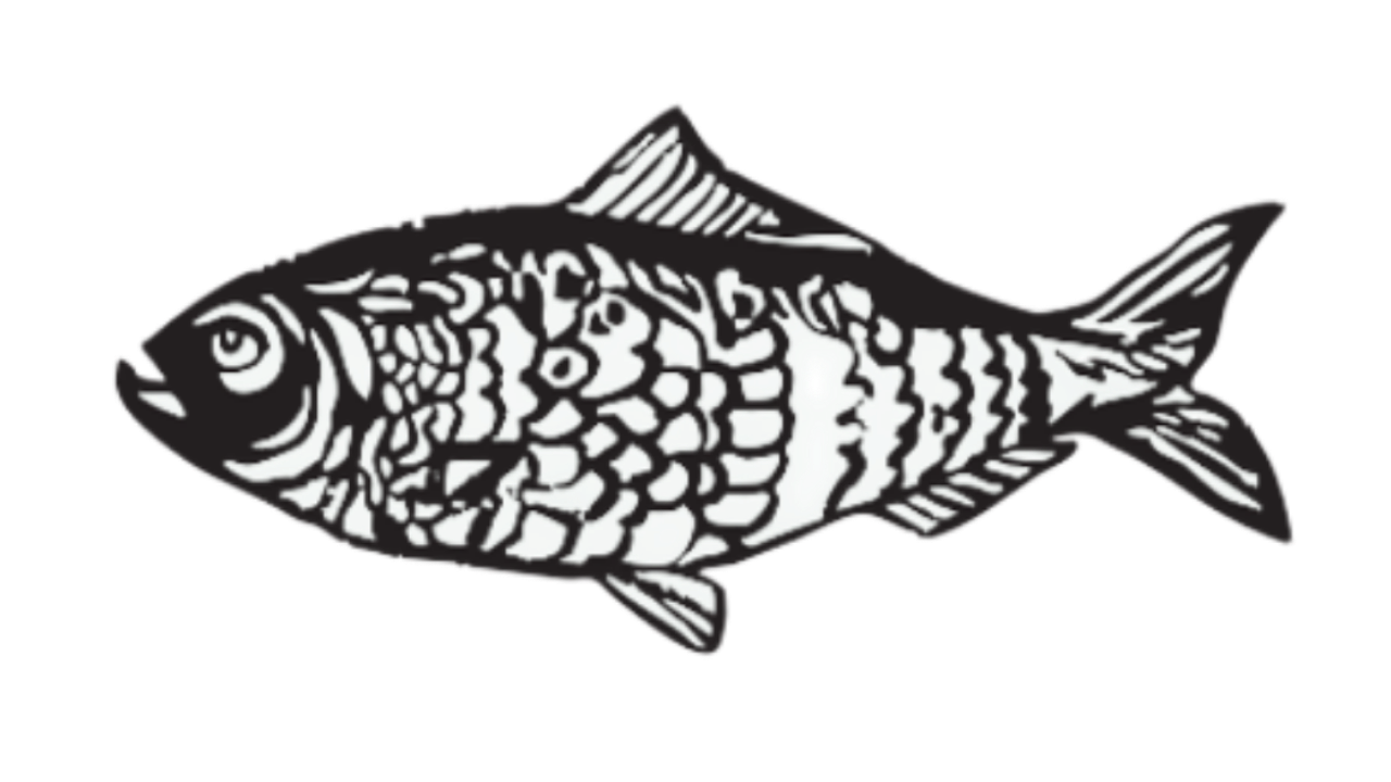 Black-and-white line drawing of a fish swimming left with detailed scales and fins