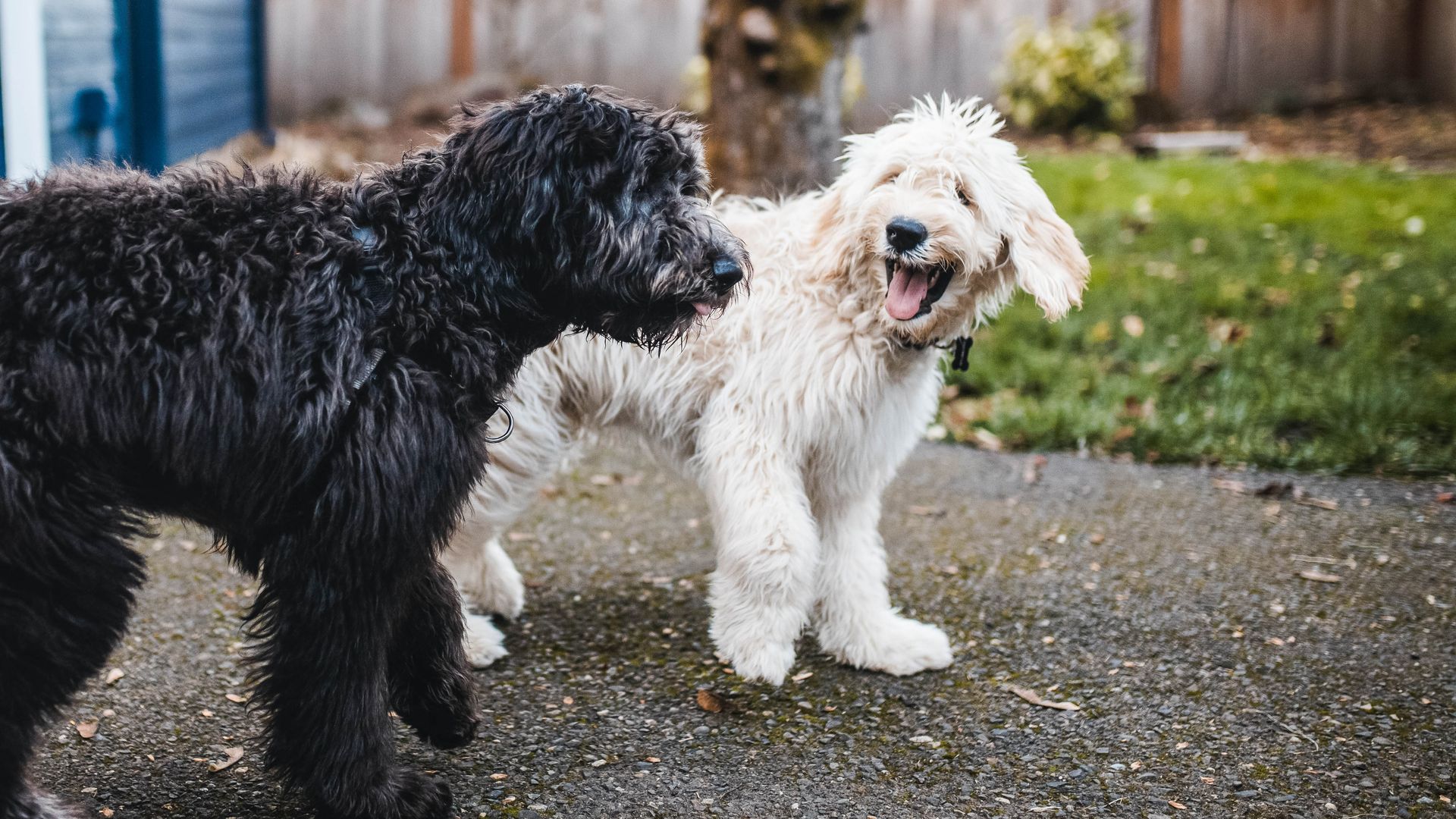 building designed by Steele and Associates