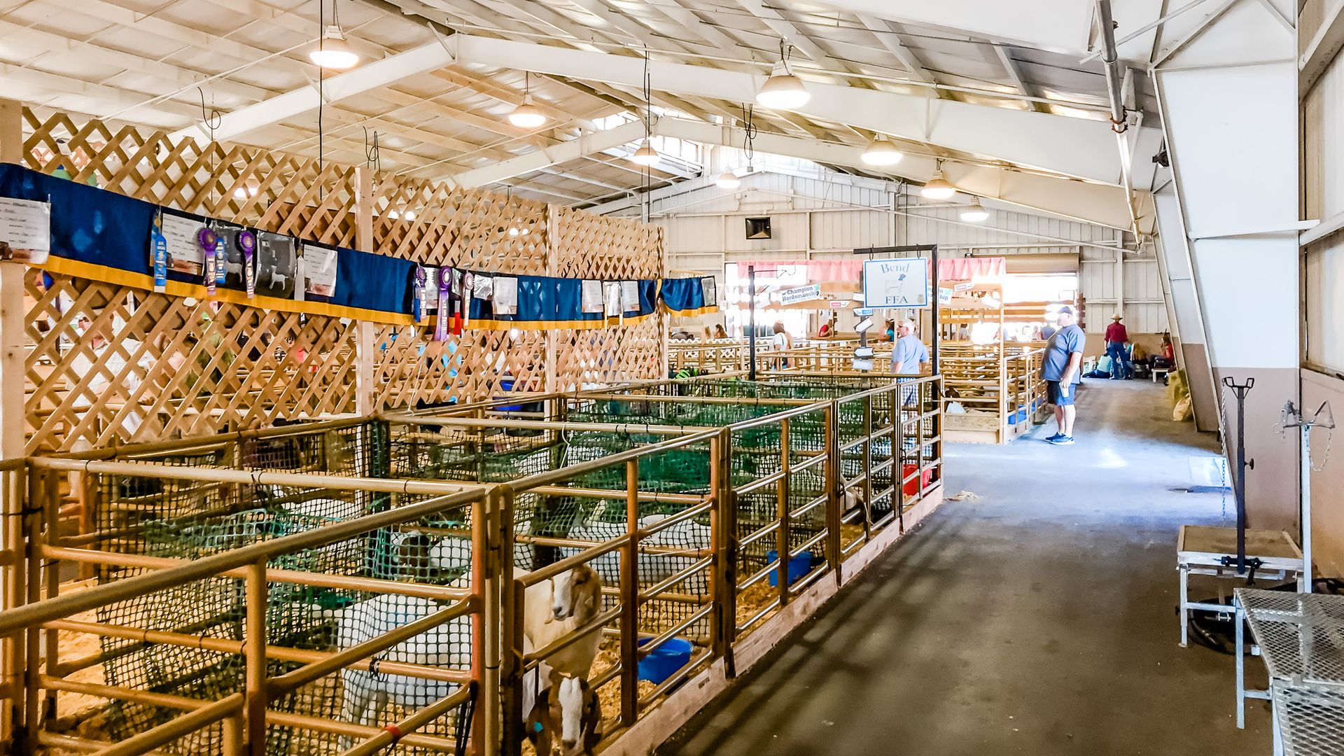 building designed by Steele Associates