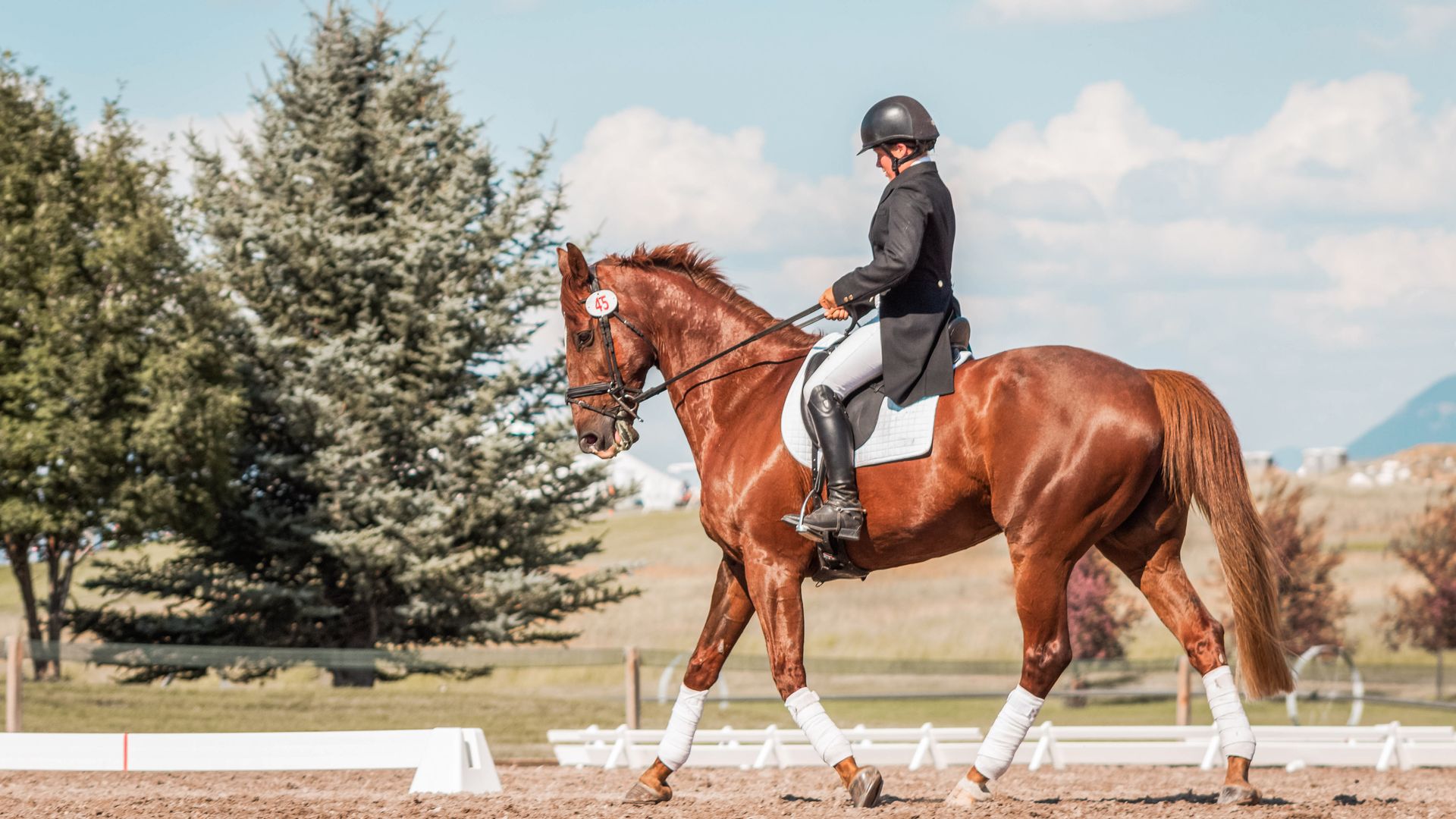 building designed by Steele and Associates