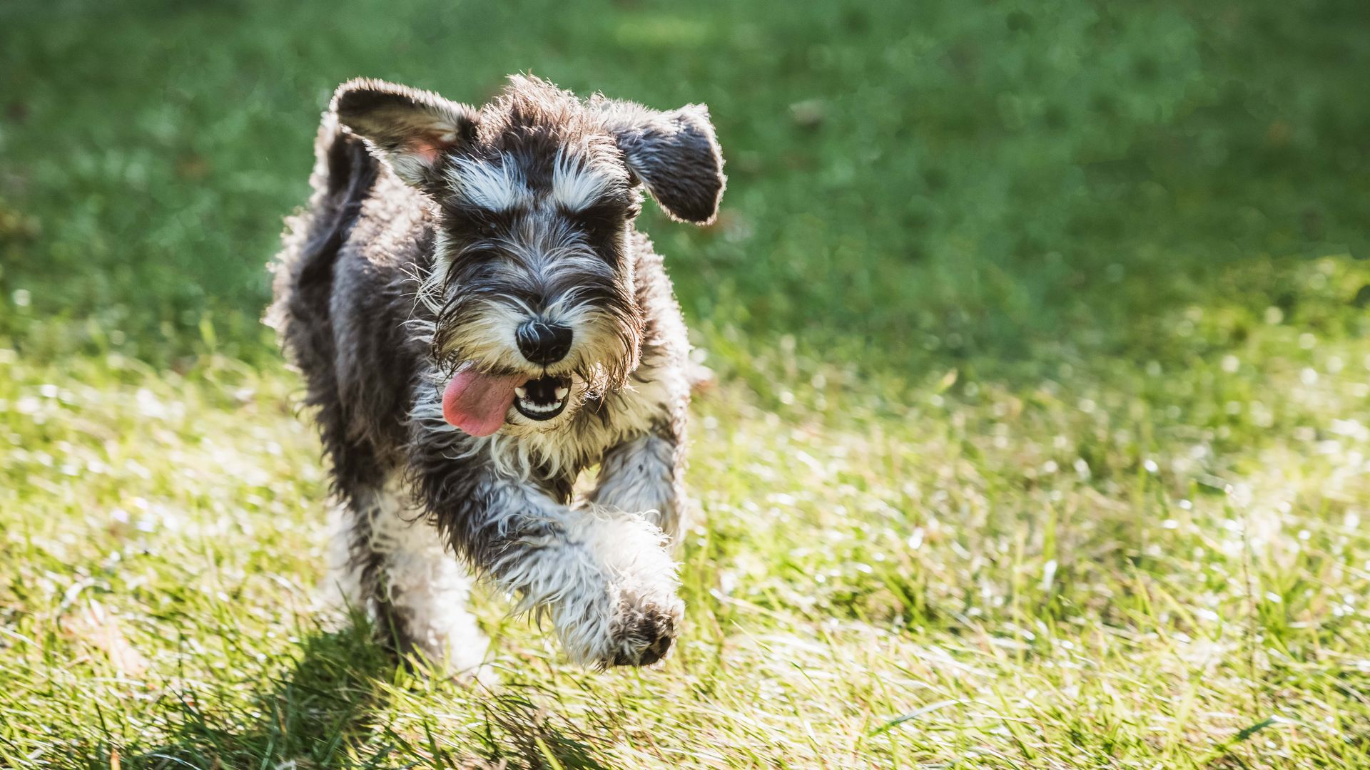 building designed by Steele and Associates