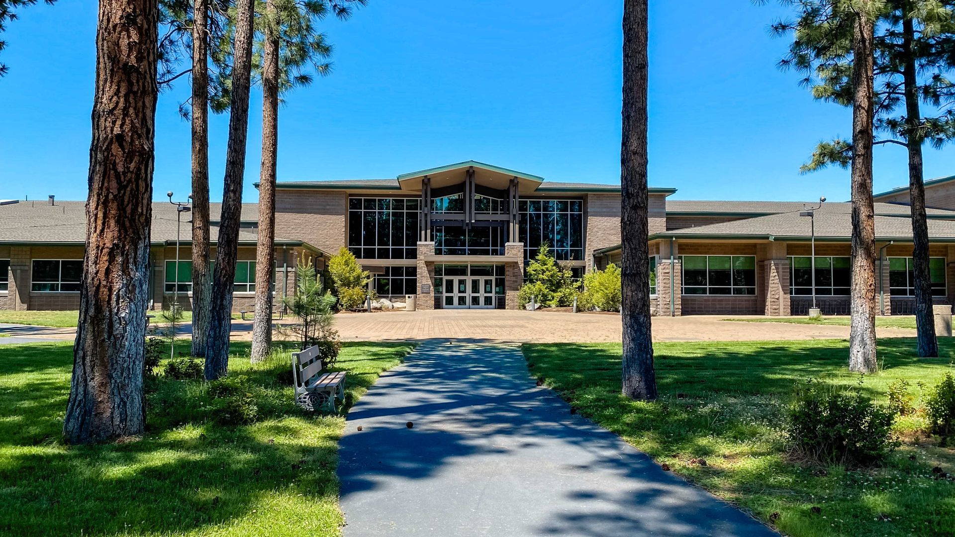a large building with a path leading to it is surrounded by trees .