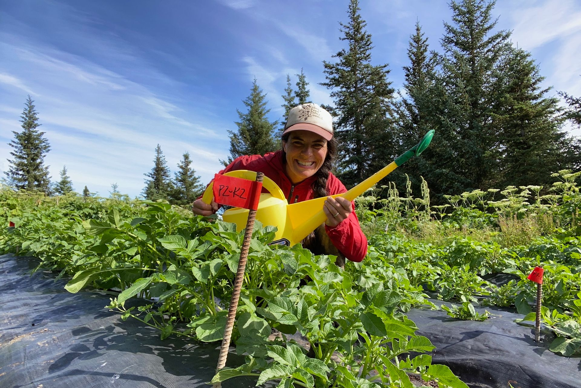 Kelp Farming