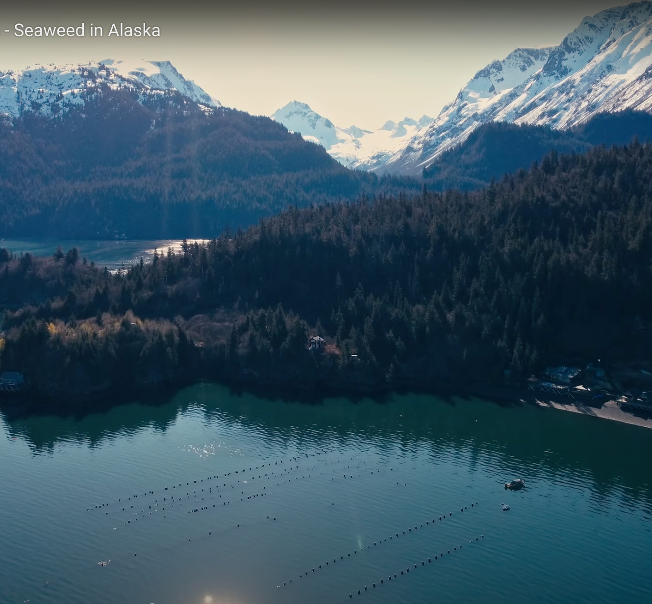 Kelp farm in Alaska, aerial view.