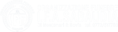 IMG TRASPARENTE