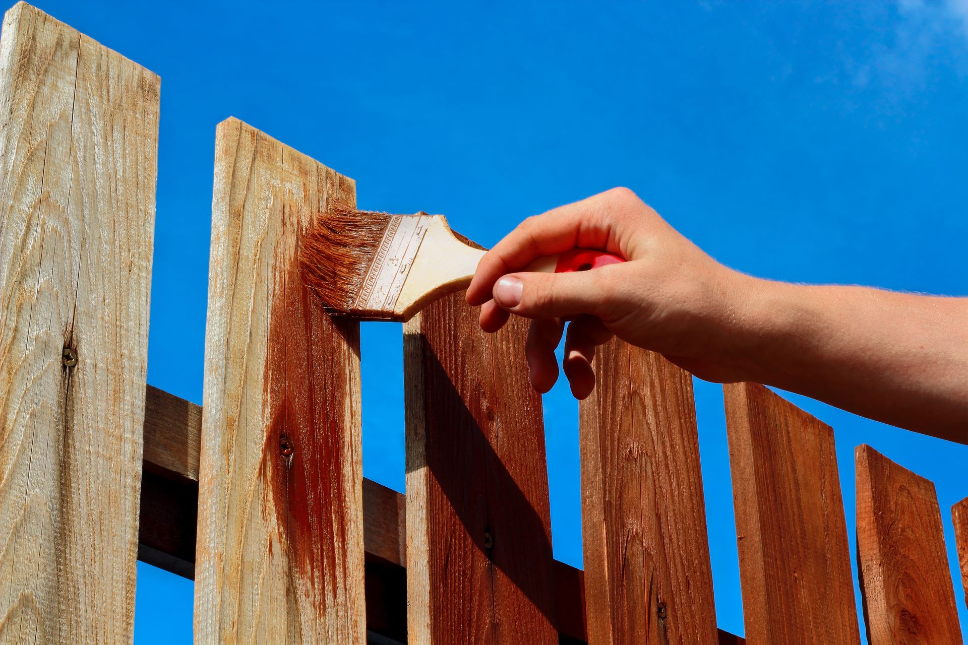 Hand painting a wooden fence with brown stain against a blue sky.