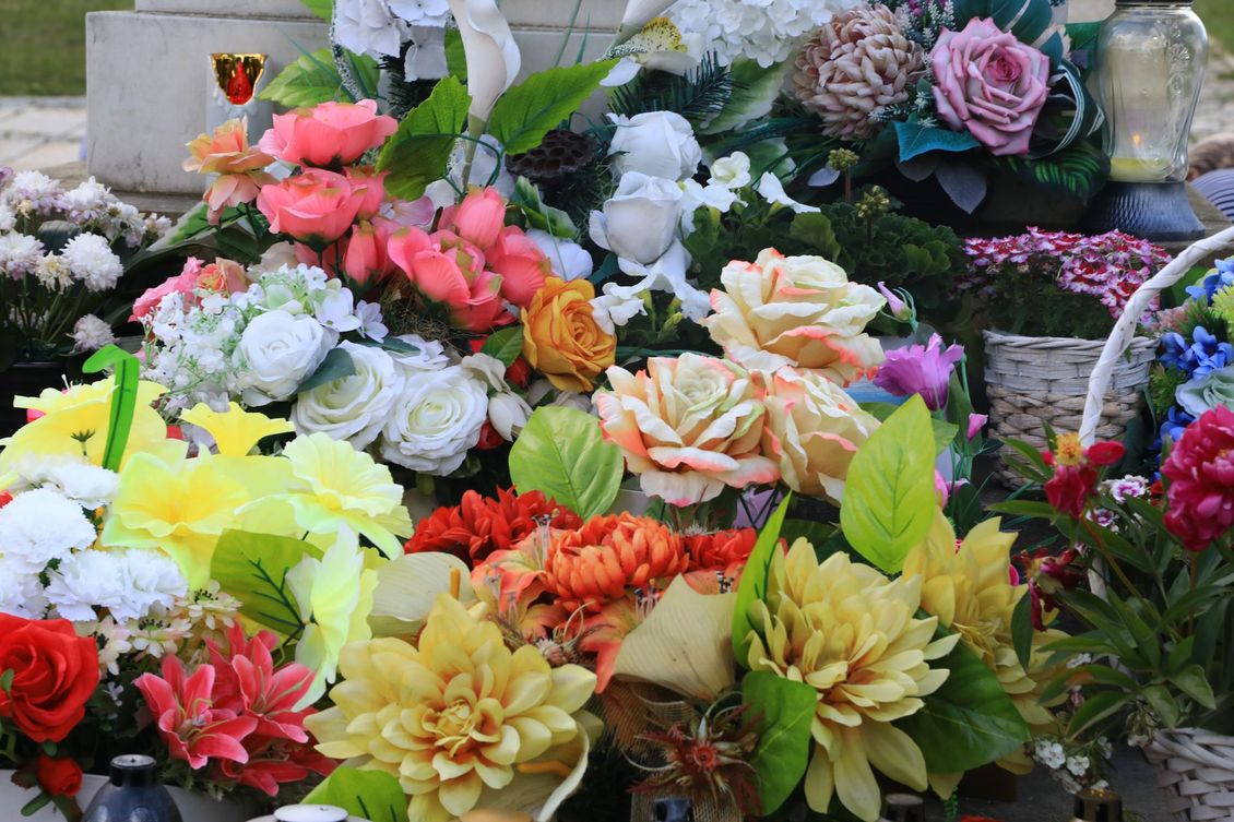 fiori torri di quartesolo