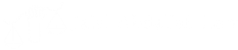 A white background with a few lines on it