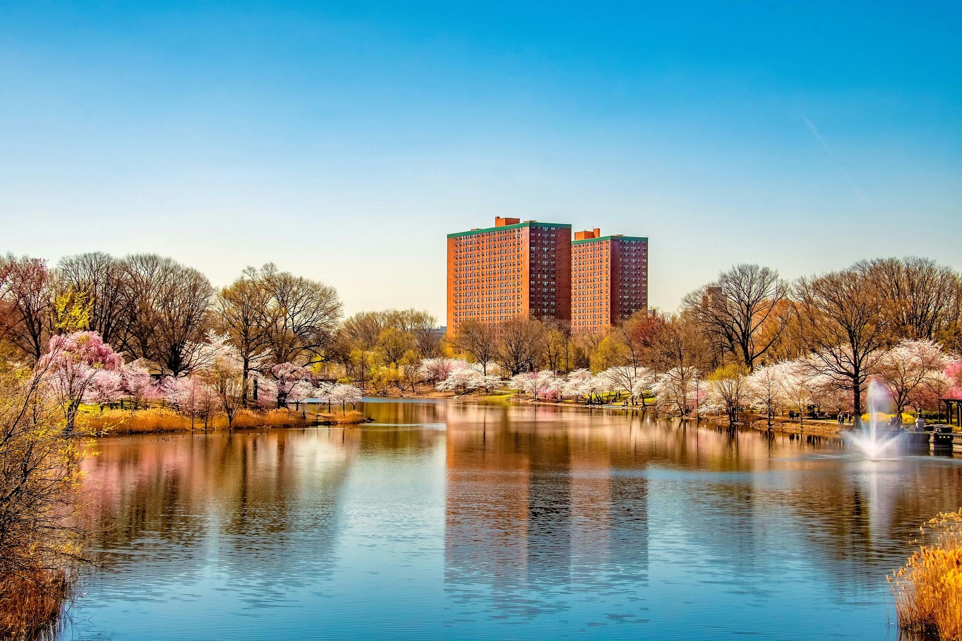 A large body of water surrounded by trees and buildings in a park.