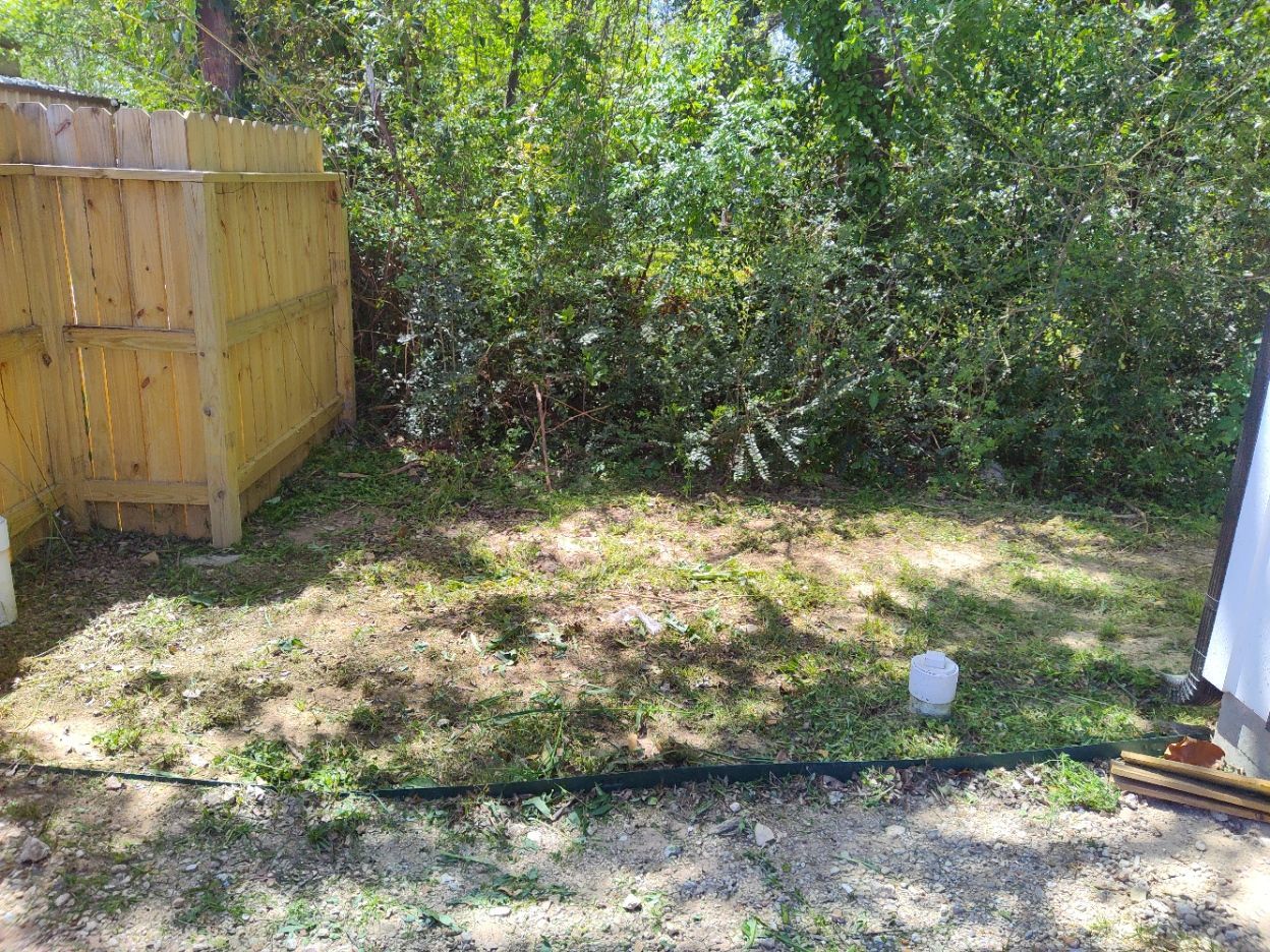 A wooden fence is surrounded by trees in a backyard.