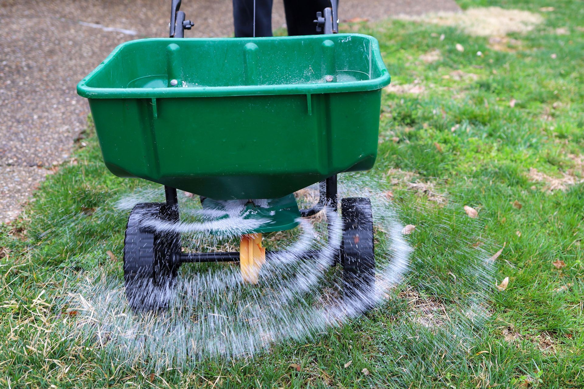 A green broadcast spreader dispersing white fertilizer pellets onto a green lawn.