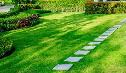 A stone pathway leads across a lush green lawn bordered by manicured hedges and small dark-leafed bushes.