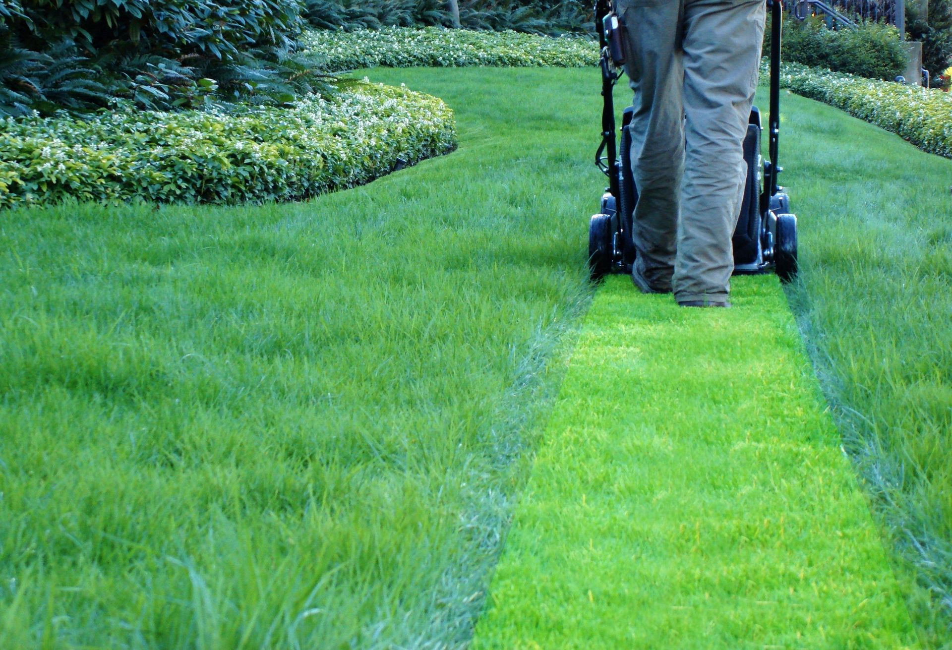 A person pushes a lawnmower, creating a bright green, freshly cut path through a yard with a manicured garden border.