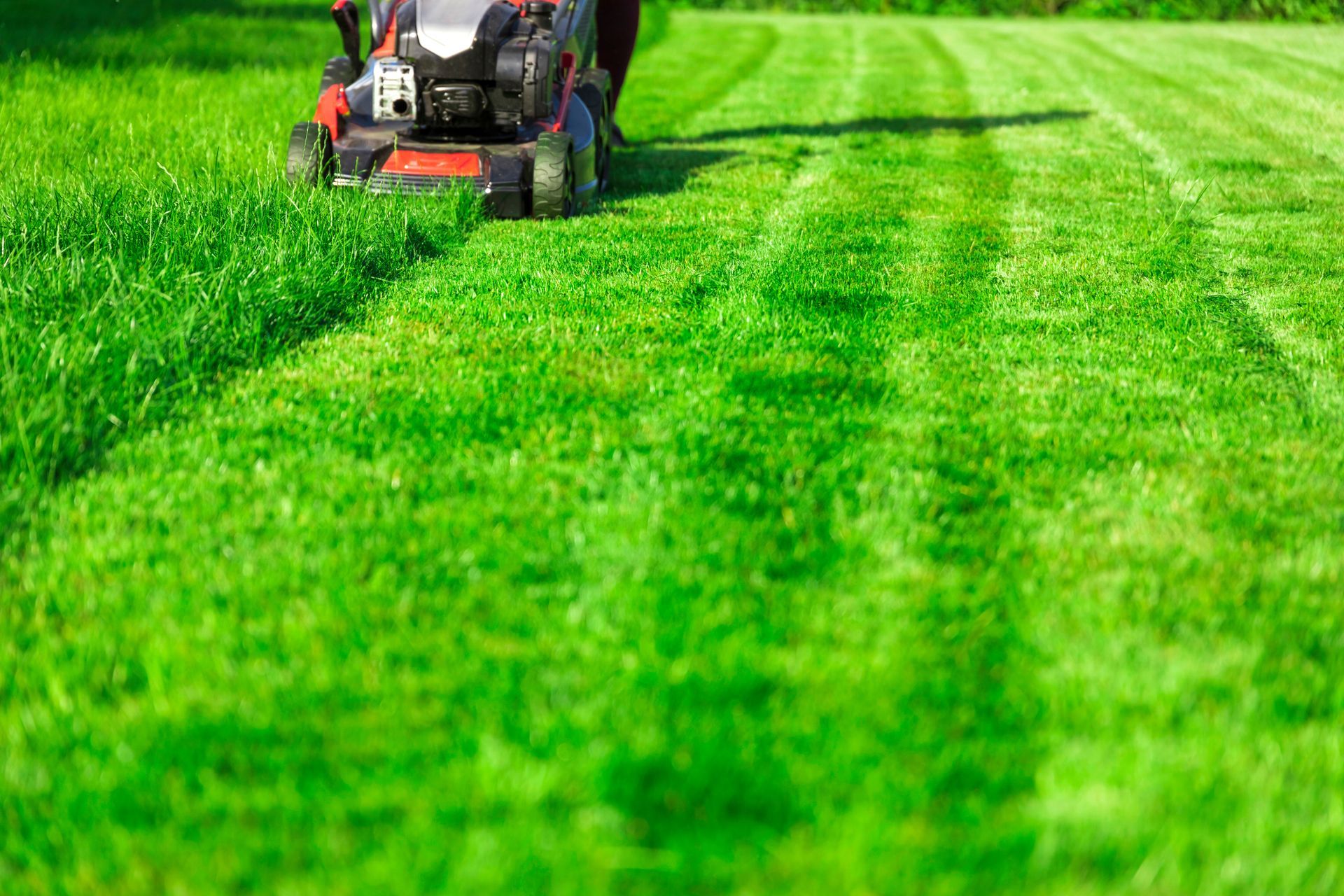 A person mows a bright green lawn, leaving a trail of neatly trimmed grass behind the mower.