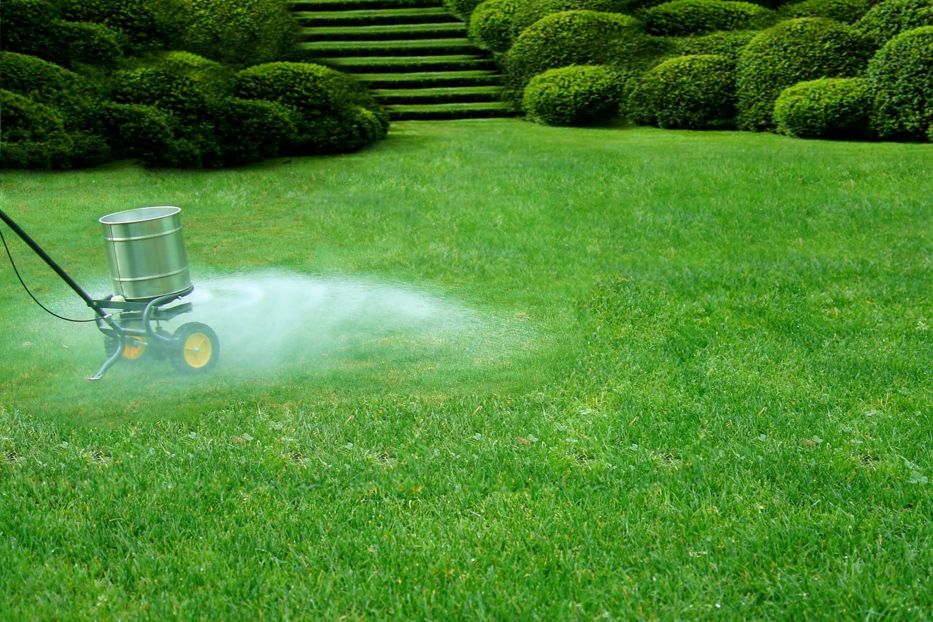 A push fertilizer spreader moves across a vibrant green lawn, spraying a fine mist of treatment over the grass.