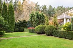 A manicured lawn features sculpted evergreen hedges, tall cypress trees, and a garden gazebo against a forested backdrop.