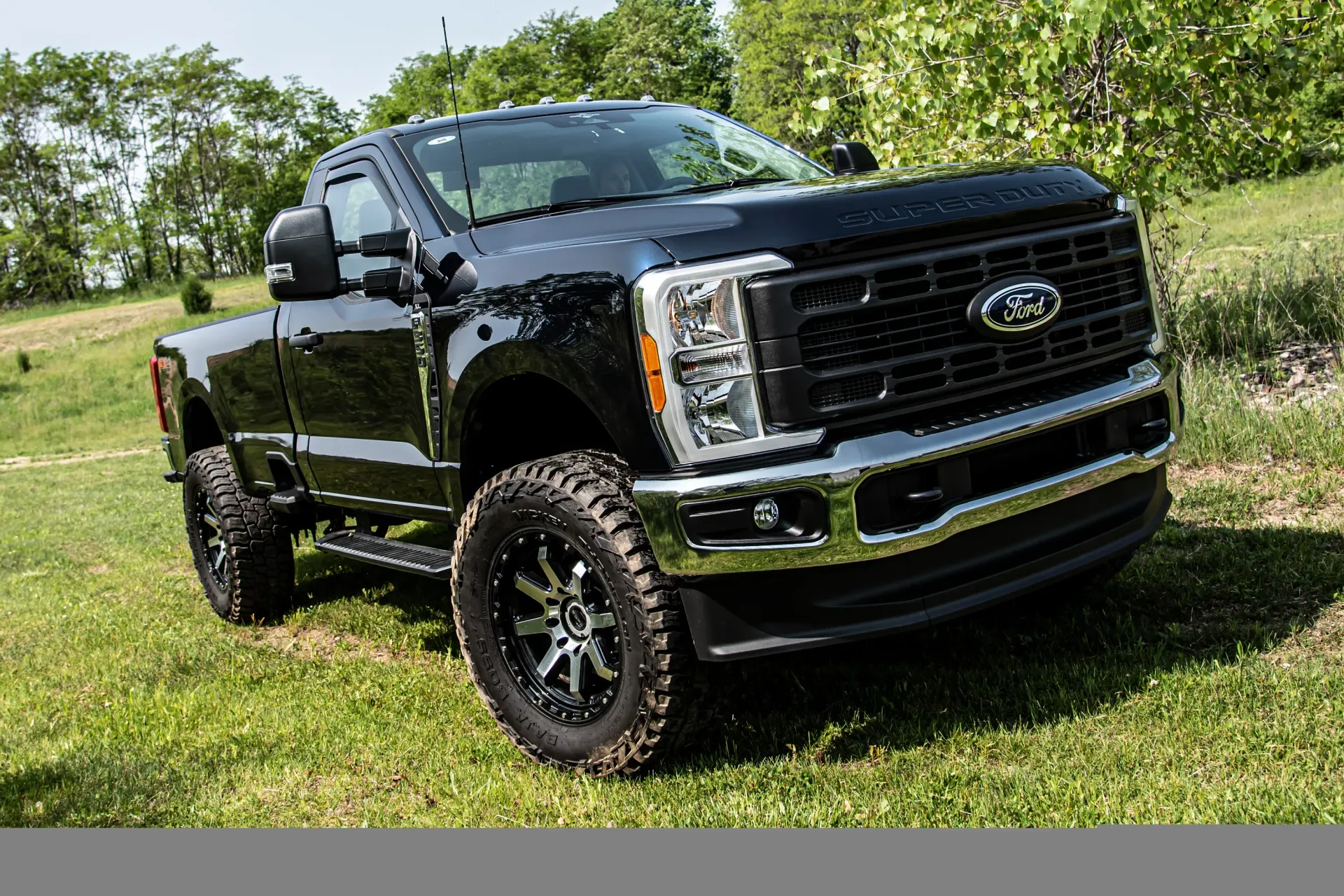 Black pickup truck parked on grass under a bright sky