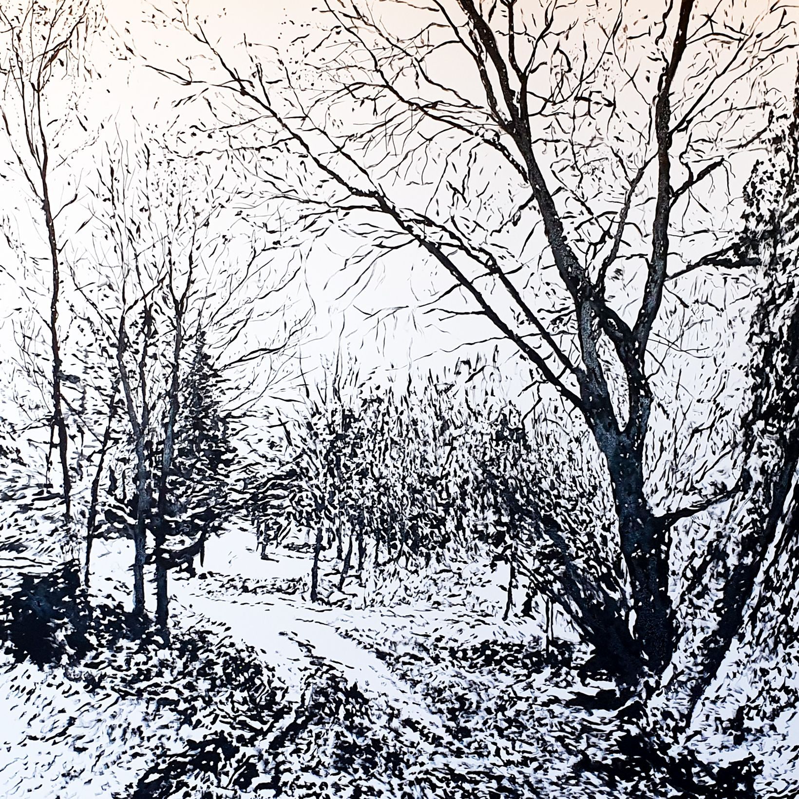 Black and white landscape of snow-covered path through trees, winter scene.