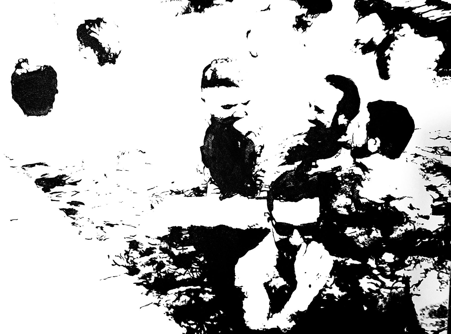 Group of people in black and white, standing close together, partially obscured, with a blurry background.