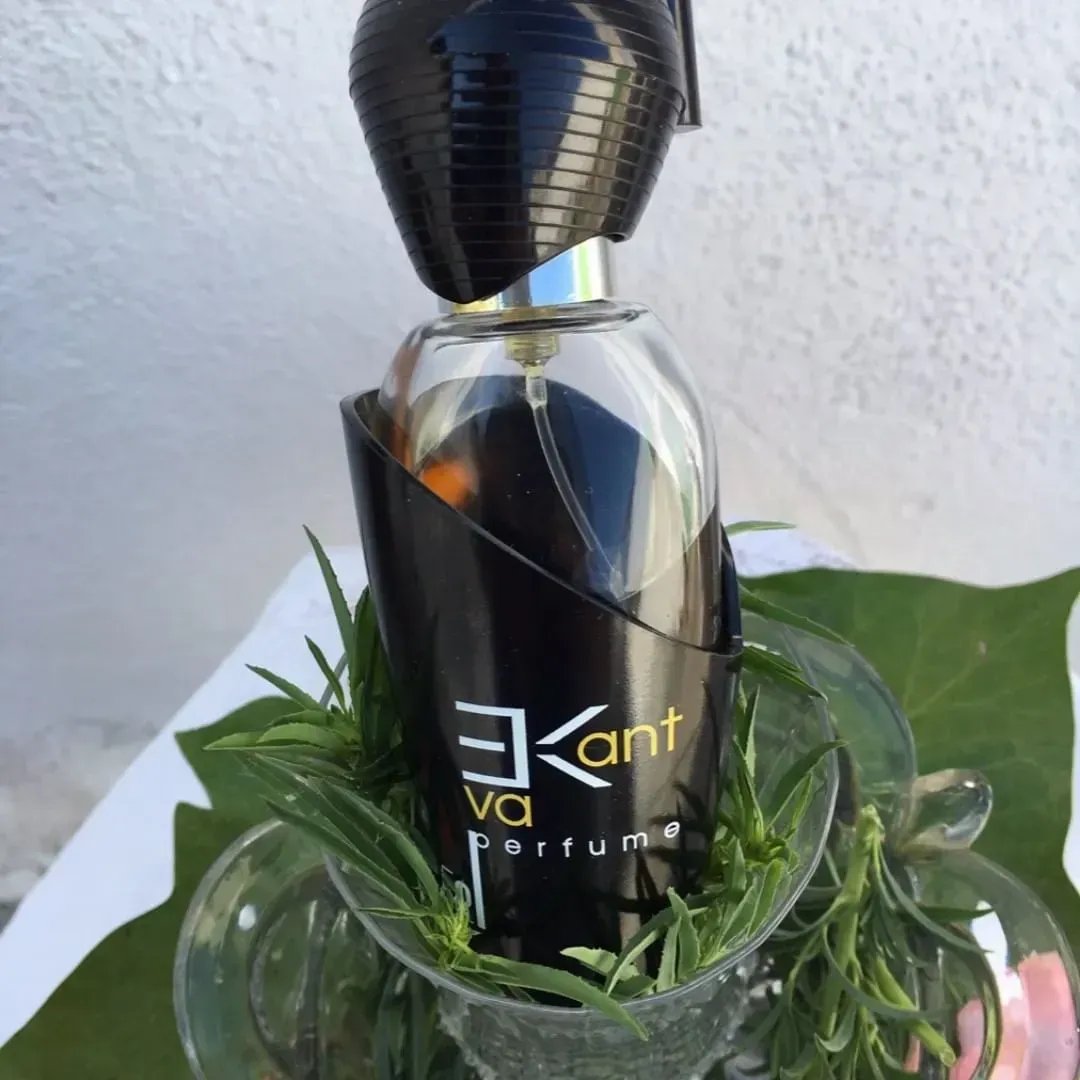 Flacone di profumo nero con scritte dorate, adagiato tra foglie verdi su una superficie bianca.