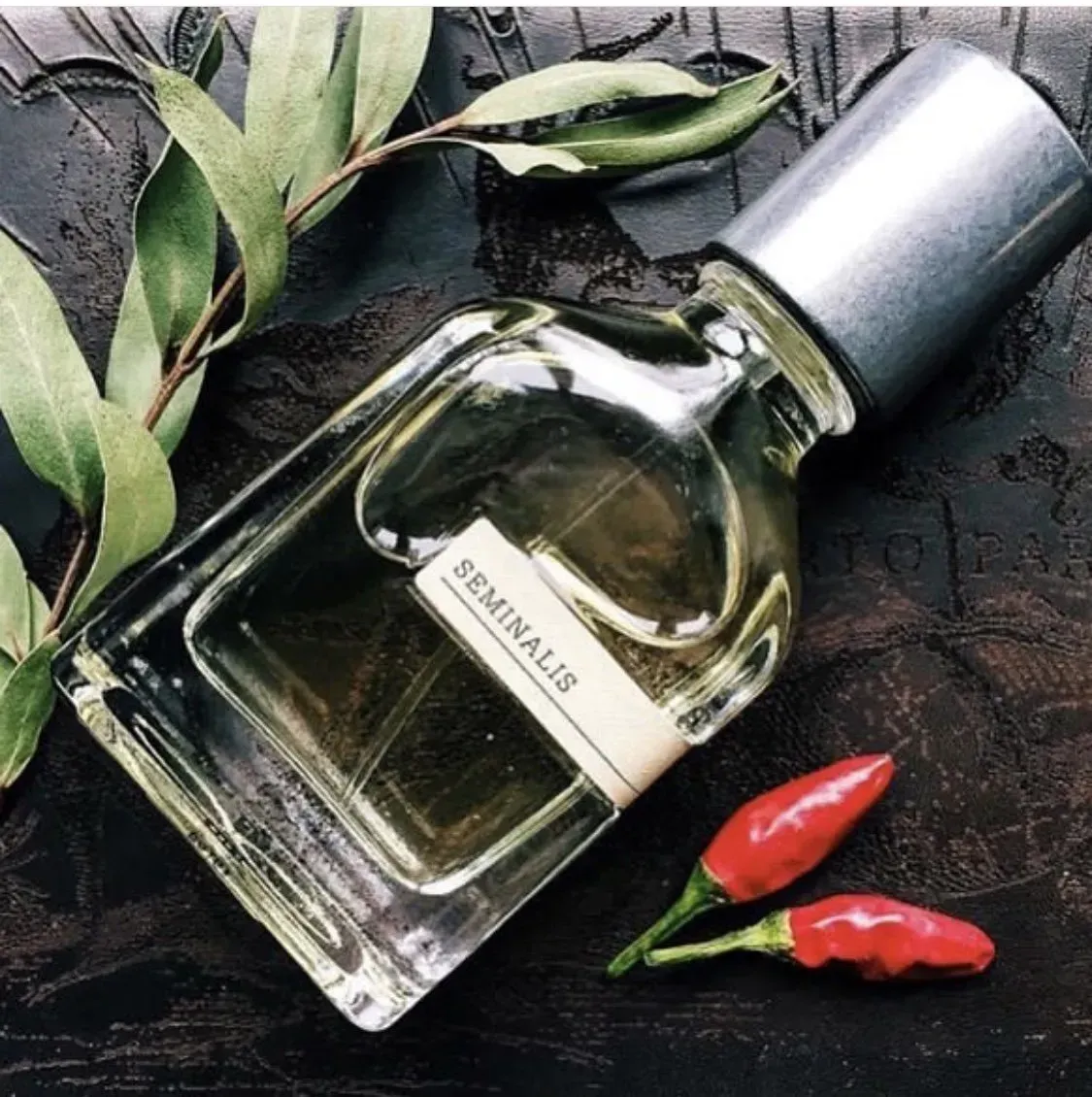 Flacone di profumo su una superficie scura e ruvida con foglie verdi e due peperoncini rossi