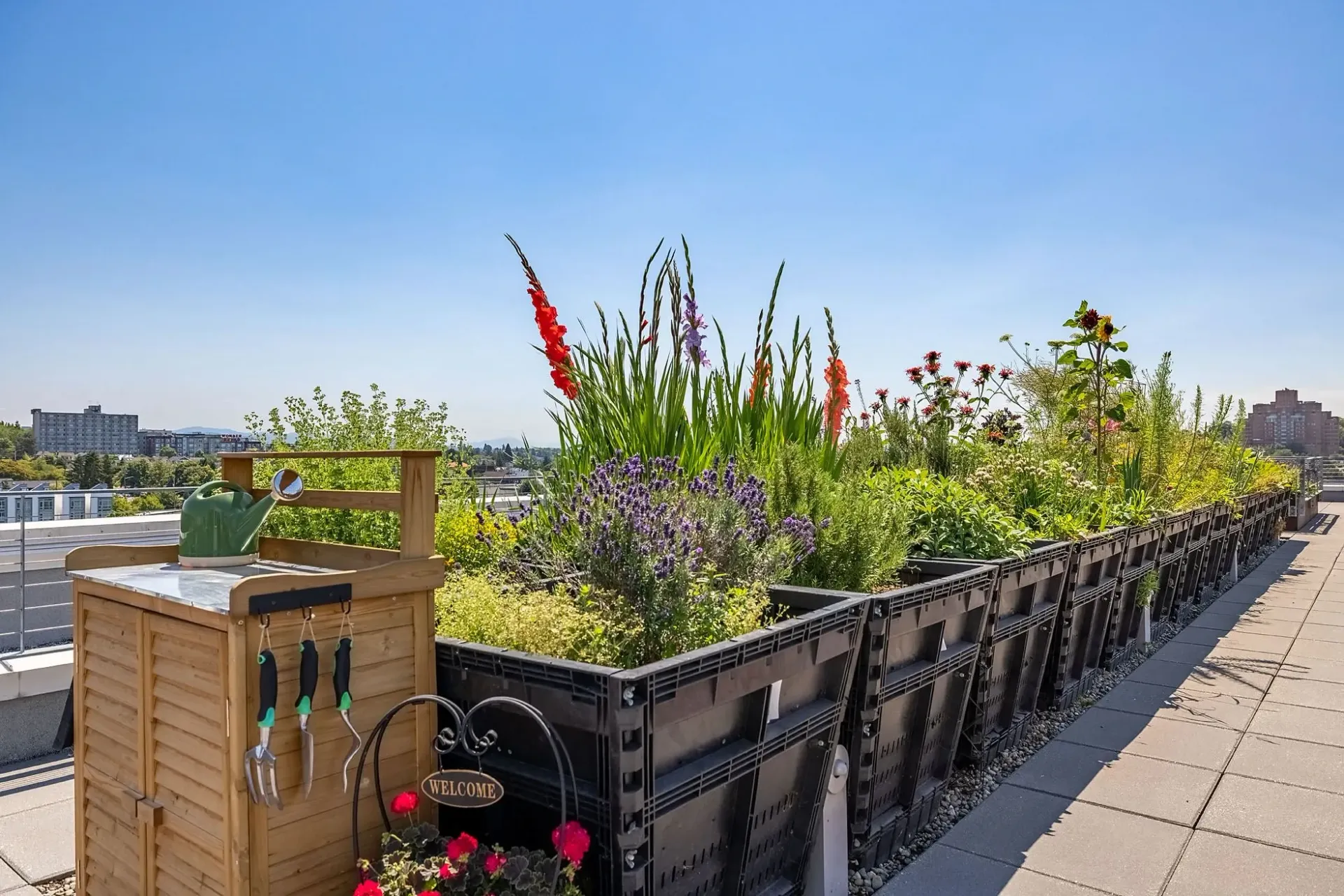 Rooftop garden with flowers, plants, and gardening tools.