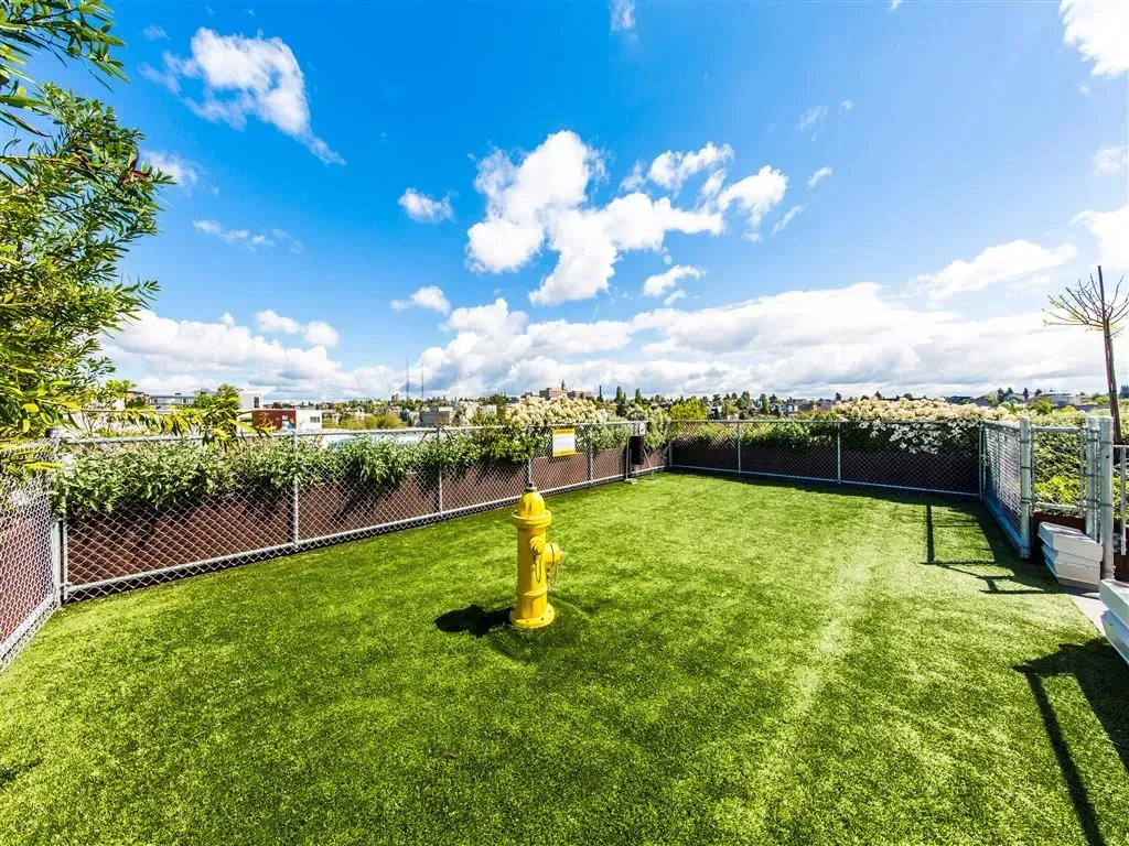 Outdoor dog park with artificial turf and a yellow fire hydrant.