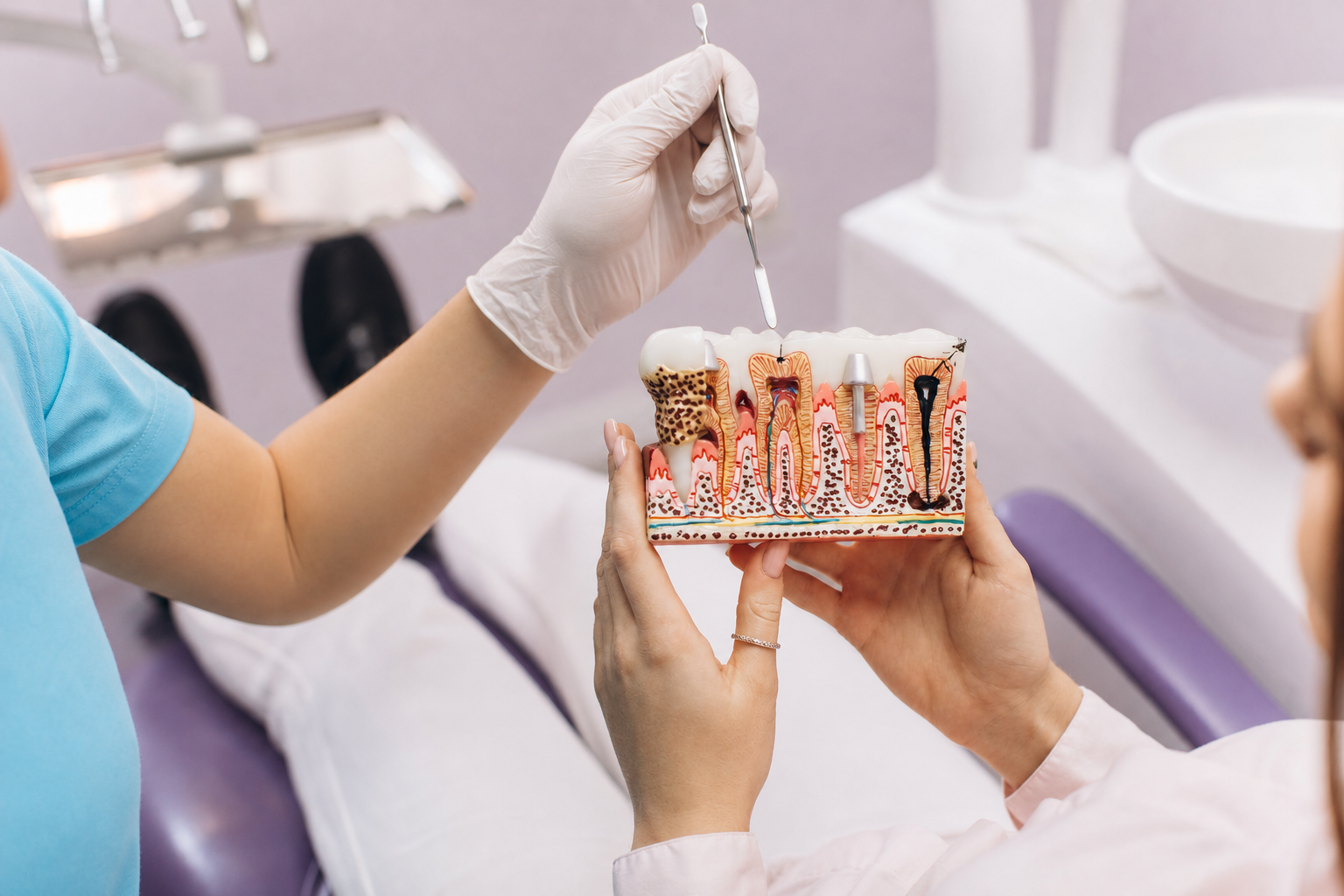 Dentist showing a dental model with teeth and braces during an exam in a clinic