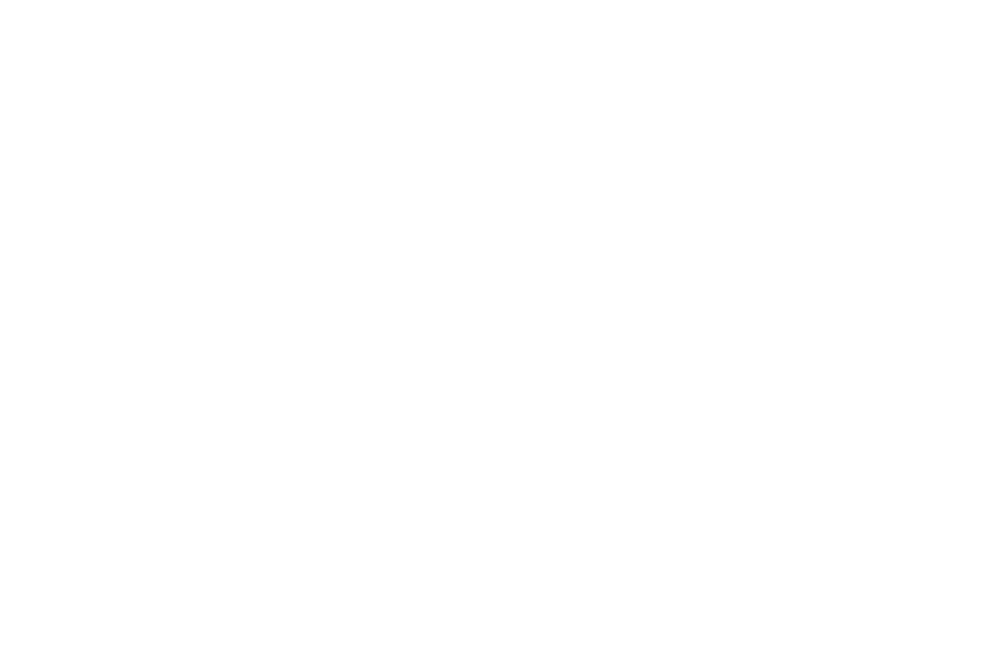 The Northern Defender Logo