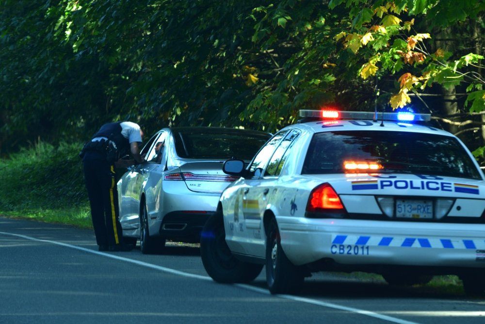 Police stop on roadside with officer speaking to driver at a white car, lights flashing.