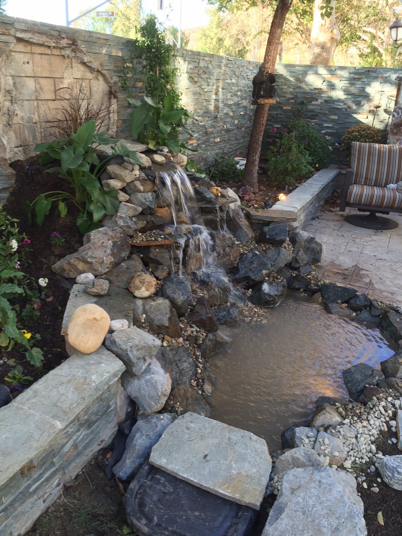 pond in a garden