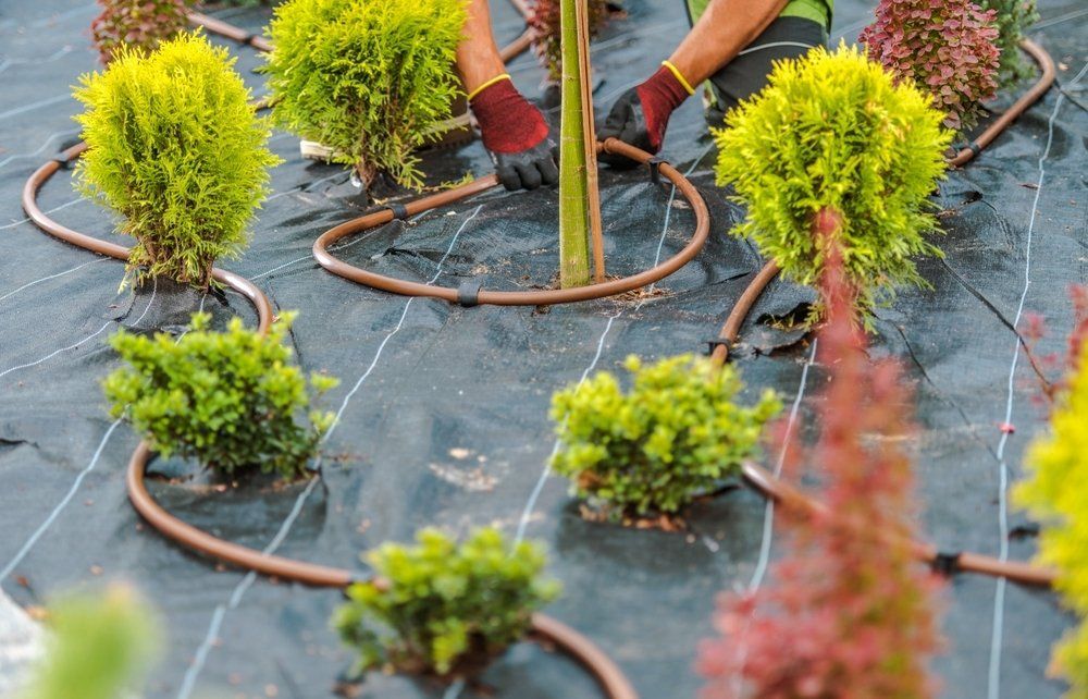 Irrigation Services
