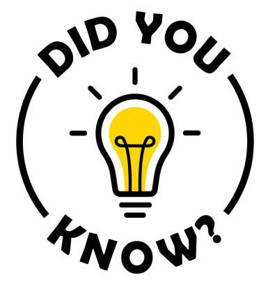 Fun facts about aritificial turf