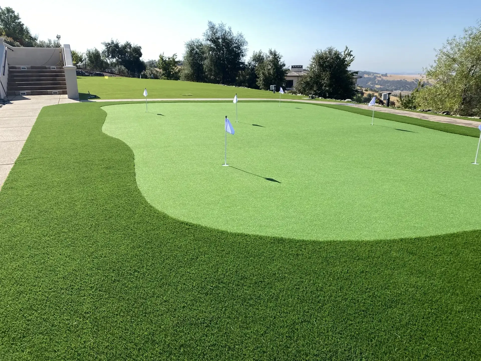Artificial turf putting green with multiple holes, blue and white flags, and surrounding landscape.