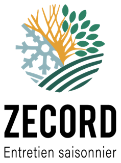 Un logo pour zecord avec un arbre et un flocon de neige