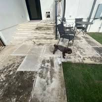 A dog is standing on a patio next to a table and chairs.