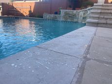 Poolside view: Concrete deck with water droplets next to a swimming pool with steps, against a fence and some foliage.