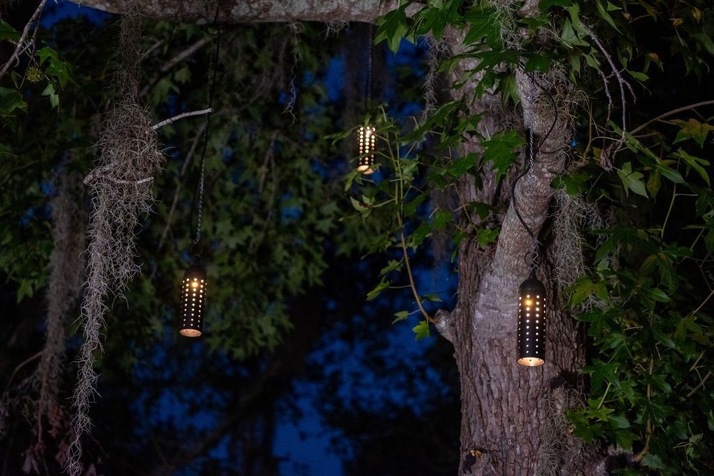 Three cylindrical metal lanterns with glowing lights hang from the branches of a tree against a dark evening sky.