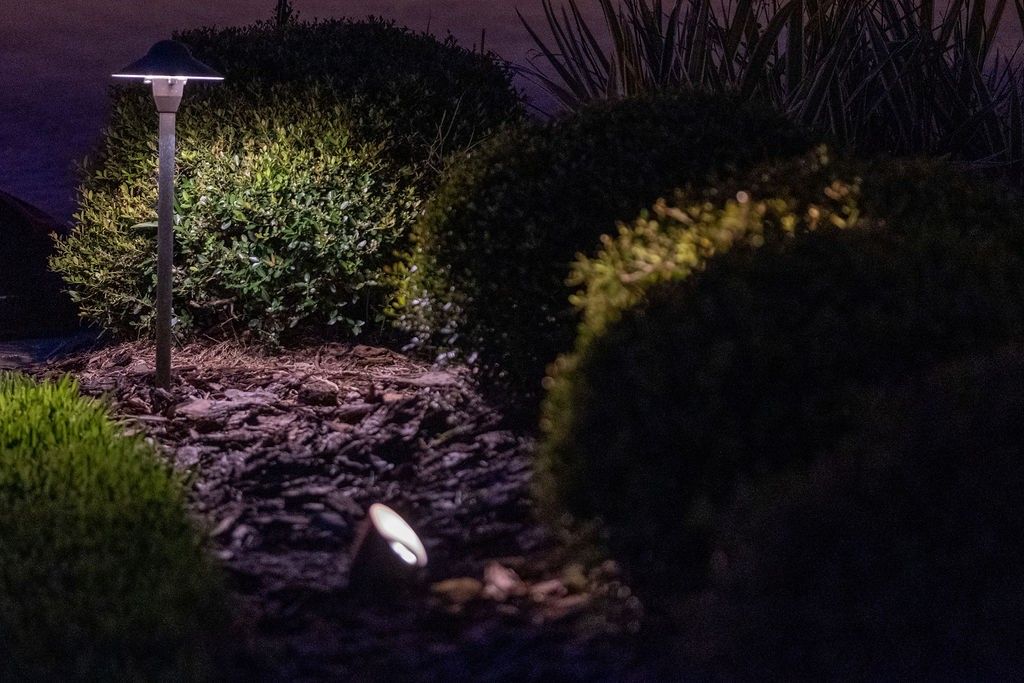 A nighttime view of a garden with a solar path light and a low-profile spotlight illuminating dark green bushes.