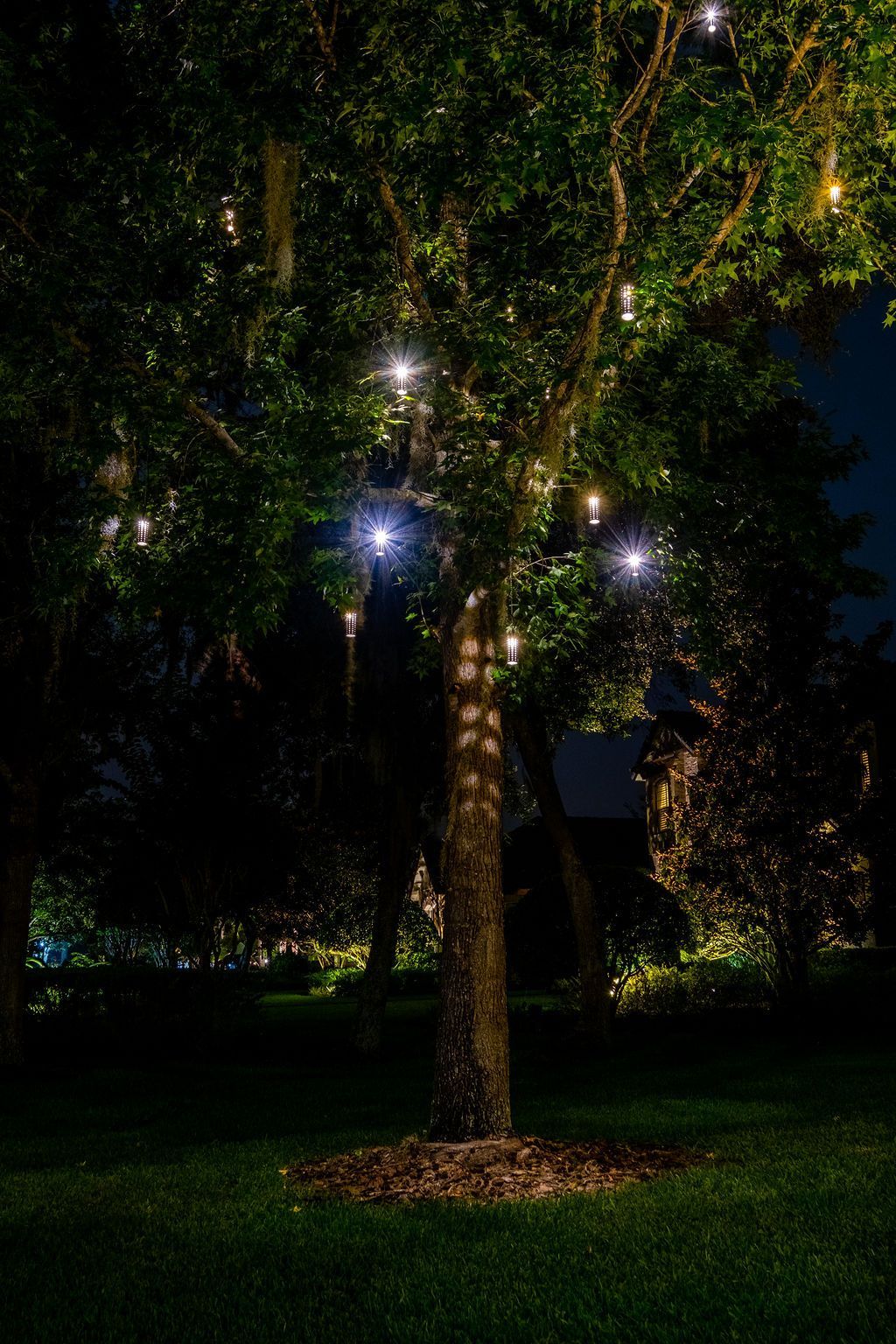 A tree at night adorned with glowing fairy lights, standing against a dark sky and a manicured lawn.