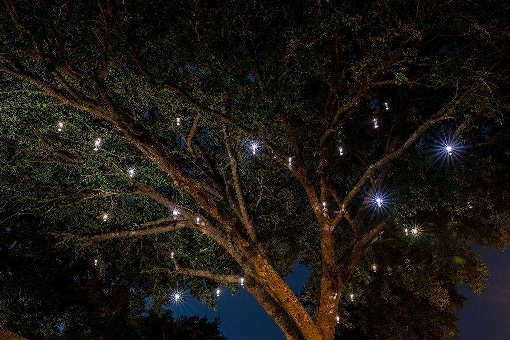 A large, dark tree at night, decorated with small, hanging white lights that glow against the dense foliage and sky.
