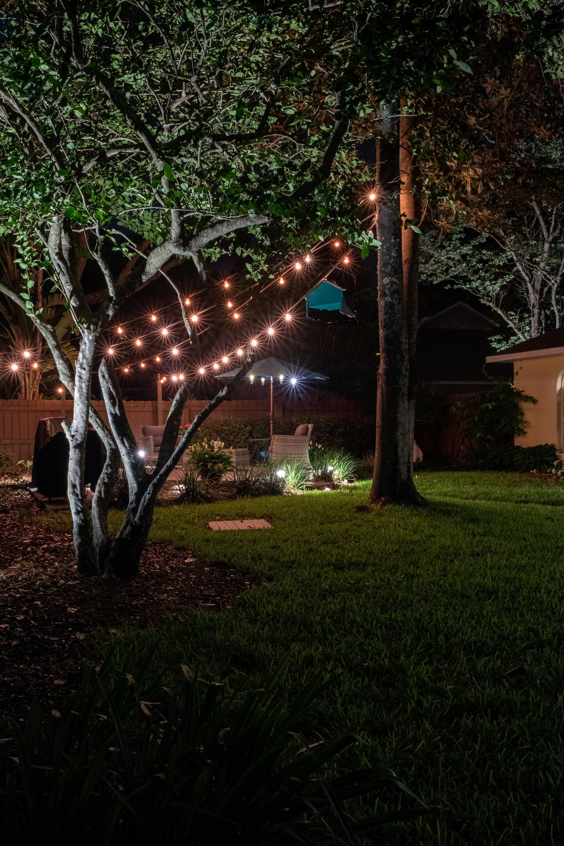 A backyard at night illuminated by a string of warm fairy lights hanging between two large trees over a manicured lawn.
