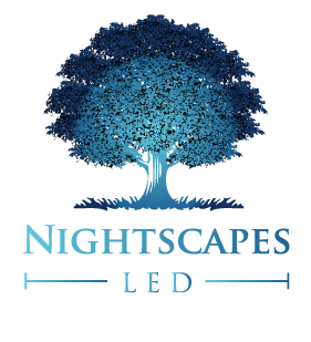 A blue-toned silhouette of a tree above the text