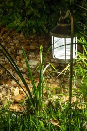 A lit, brass-colored outdoor lantern hangs on a shepherd's hook in a garden bed with gravel and green grass.