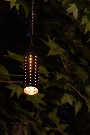 Outdoor Tree Lighting