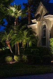 Exterior of a home at night featuring illuminated palm trees and landscaping against a blue sky.