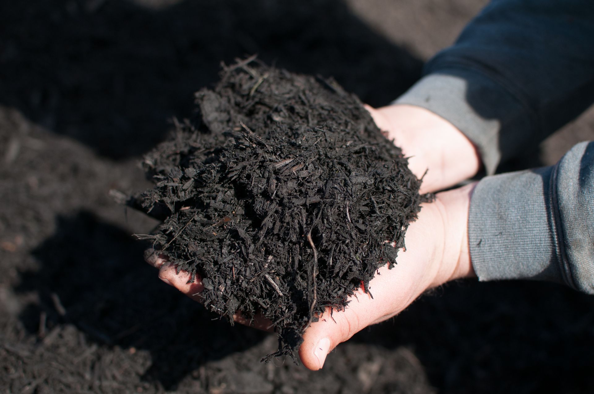 Hands cupped together holding a large handful of dark, rich organic compost or mulch.