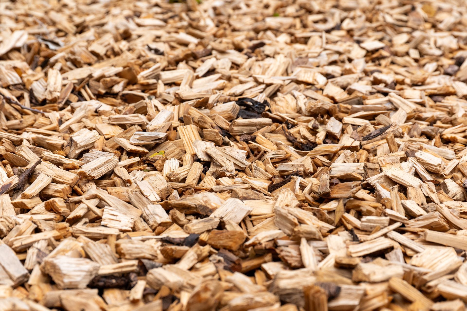 A top-down view of a thick layer of tan wood chips covering the ground.