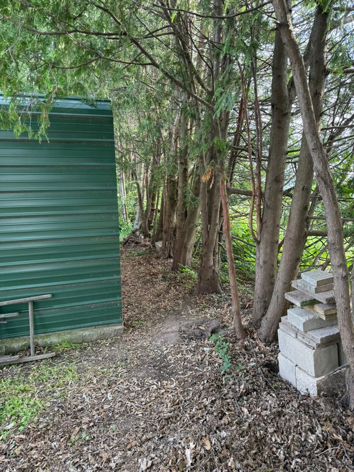 A green metal shed stands beside a row of trees, with a stack of concrete blocks resting on the leaf-covered ground.
