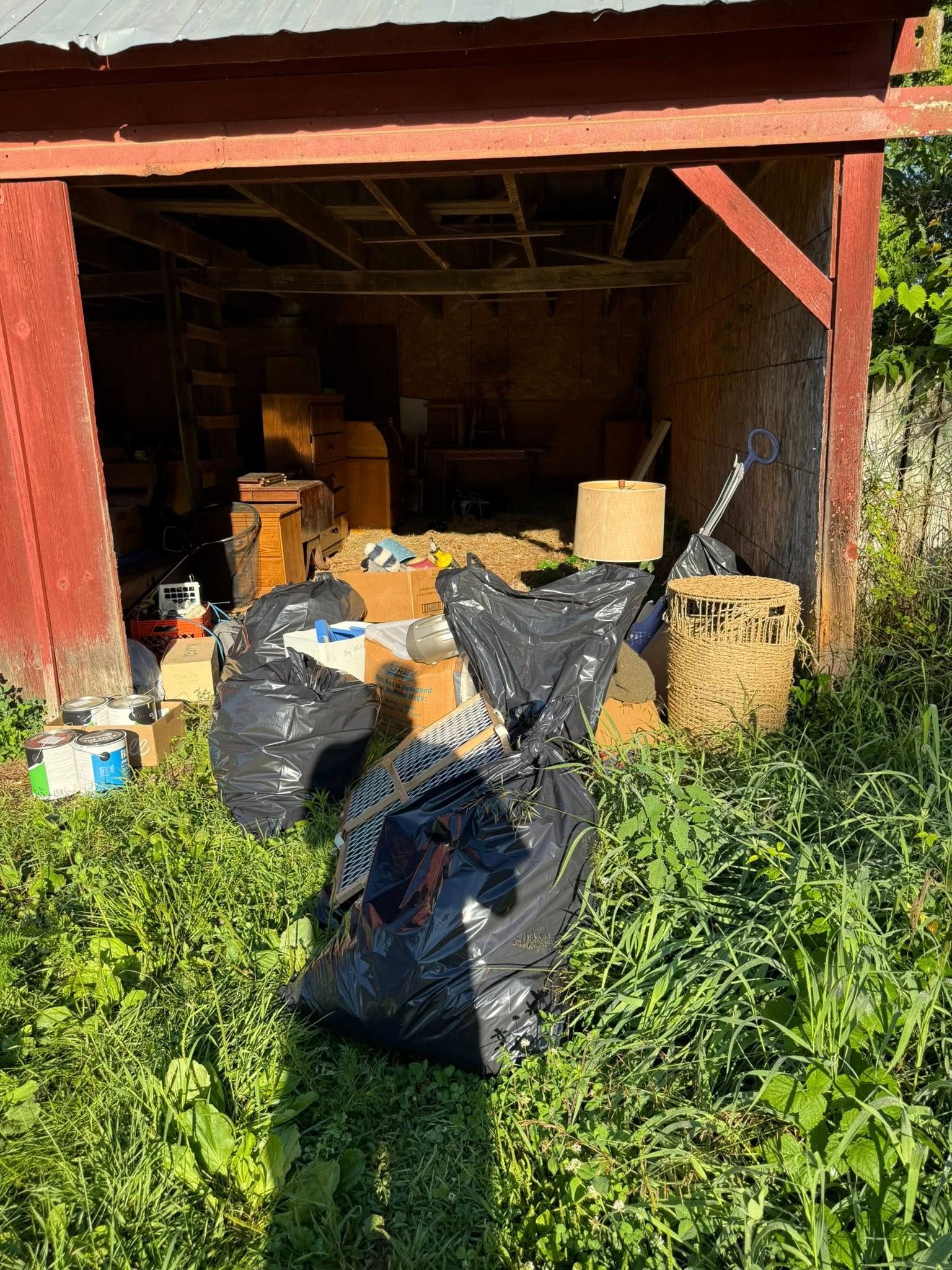 A cluttered, open-fronted shed with trash bags, cardboard boxes, and miscellaneous items scattered near tall grass.